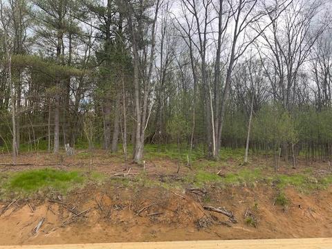 7657 E 72nd St, Chase, MI 49623 photo 6