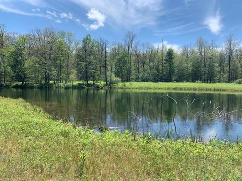 7657 E 72nd St, Chase, MI 49623 photo 15