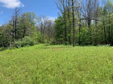 7657 E 72nd St, Chase, MI 49623 photo 12
