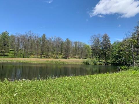 7657 E 72nd St, Chase, MI 49623 photo 10