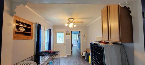 311 E Hunt St, Adrian, MI 49221 photo 9