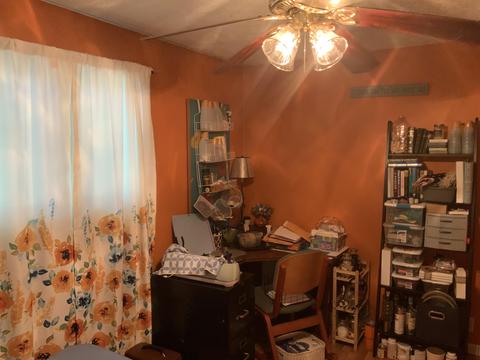 206 E 112th St, Grant, MI 49327 photo 42