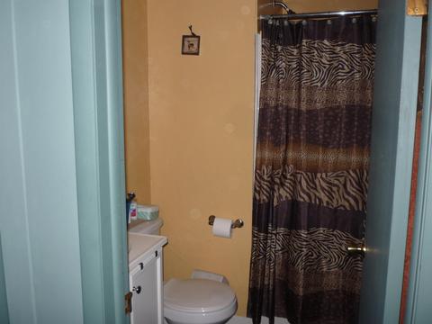 577 River Rd, Coldwater, MI 49036 photo 5