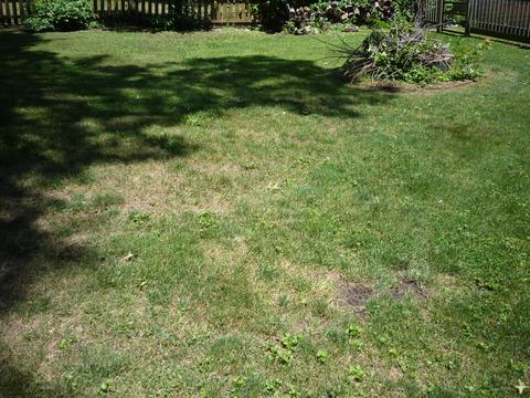 577 River Rd, Coldwater, MI 49036 photo 19