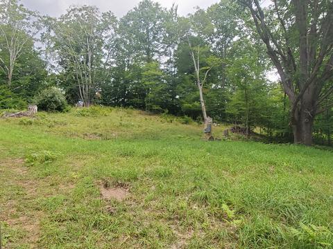 4642 Deer Cove Rd, Custer, MI 49405 photo 5