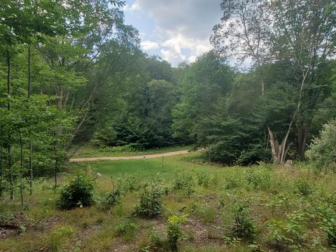 4642 Deer Cove Rd, Custer, MI 49405 photo 1