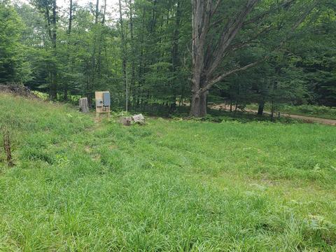 4642 Deer Cove Rd, Custer, MI 49405 photo 3