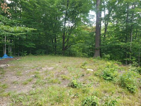 4642 Deer Cove Rd, Custer, MI 49405 photo 11