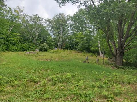 4642 Deer Cove Rd, Custer, MI 49405 photo 2