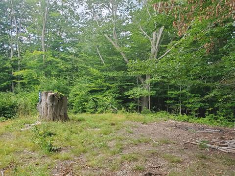 4642 Deer Cove Rd, Custer, MI 49405 photo 10