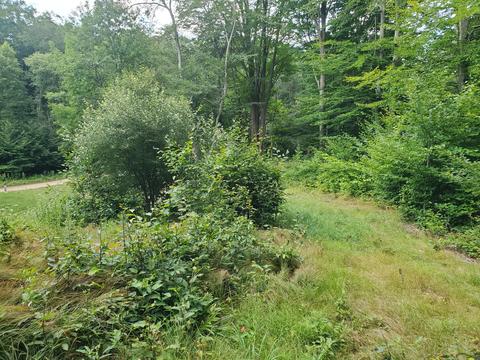 4642 Deer Cove Rd, Custer, MI 49405 photo 4