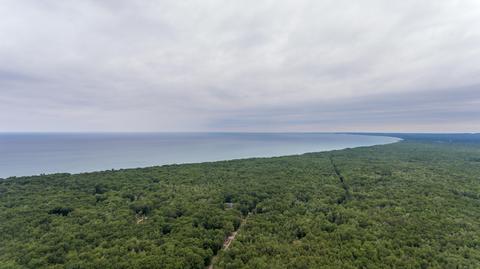 4481 Pine Ave, Mears, MI 49436 photo 35