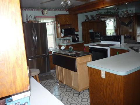 562 Kosmerick Rd, Bronson, MI 49028 photo 4