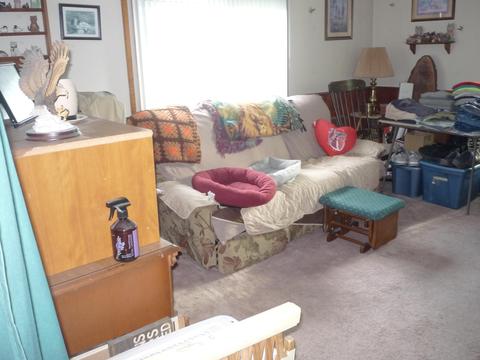 562 Kosmerick Rd, Bronson, MI 49028 photo 18