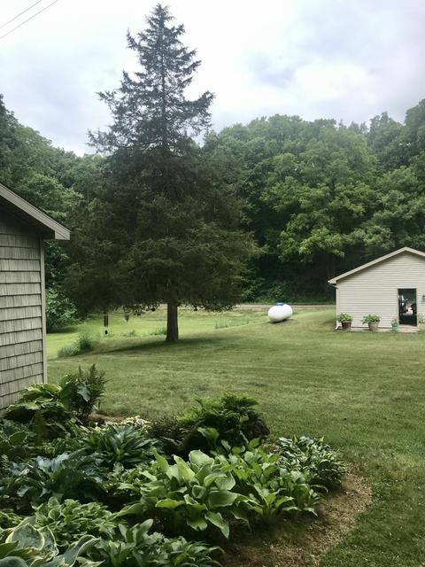 14684 Ef Ave, Augusta, MI 49012 photo 3