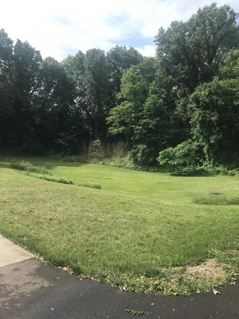 14684 Ef Ave, Augusta, MI 49012 photo 27