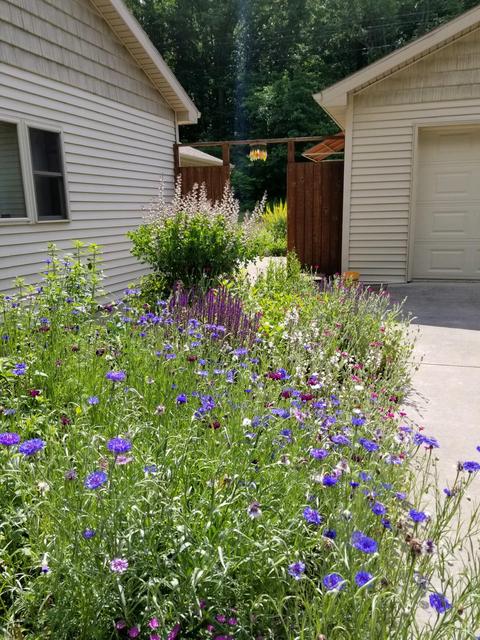 14684 Ef Ave, Augusta, MI 49012 photo 36