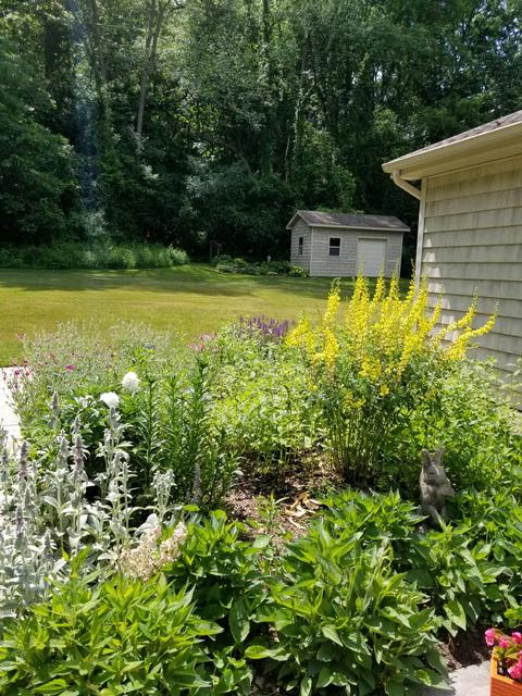 14684 Ef Ave, Augusta, MI 49012 photo 35