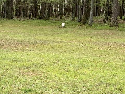 7567 E 48th St, Chase, MI 49623 photo 30
