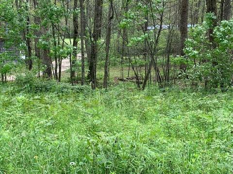 7567 E 48th St, Chase, MI 49623 photo 38