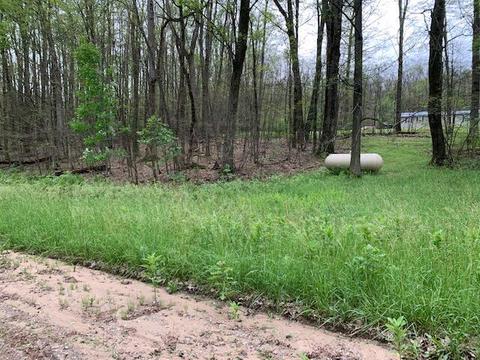 7567 E 48th St, Chase, MI 49623 photo 37
