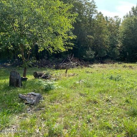 73585 28th Ave, Covert, MI 49043 photo 7