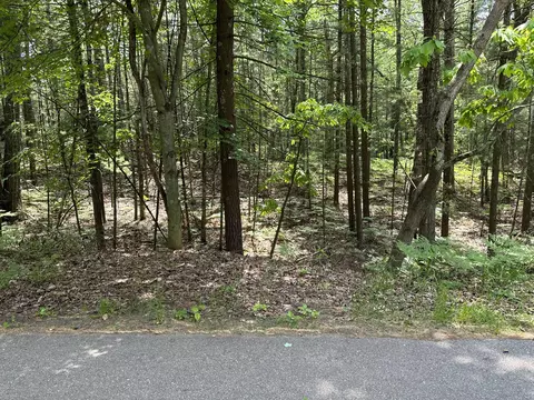 Crow Lane, Pentwater, MI 49449