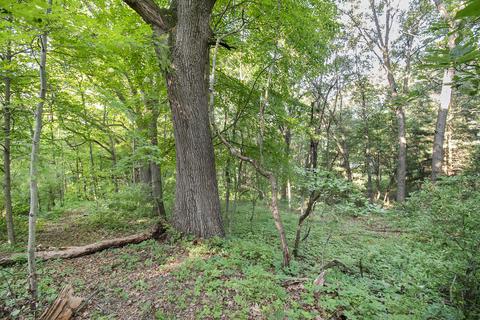 23971 64th Ave, Mattawan, MI 49071 photo 25