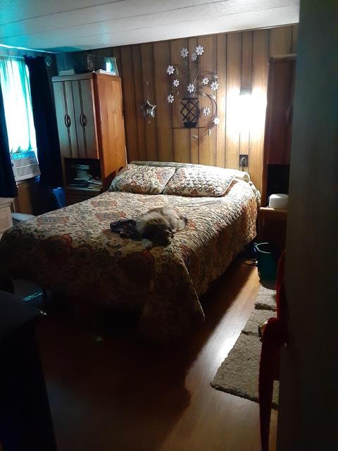 228 Baldwin St, Lyons, MI 48851 photo 8