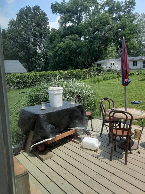 228 Baldwin St, Lyons, MI 48851 photo 4