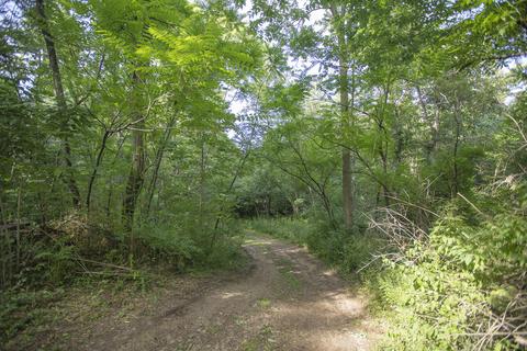3001 E Riverside Rd, Buchanan, MI 49107 photo 22