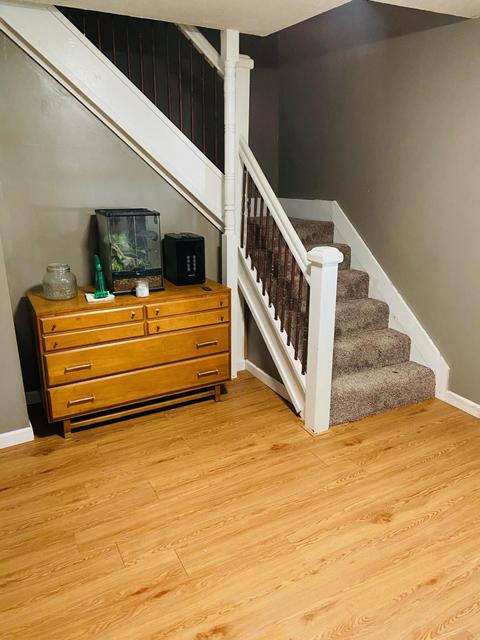 441 Birch St, Belding, MI 48809 photo 16