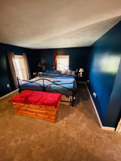 441 Birch St, Belding, MI 48809 photo 17