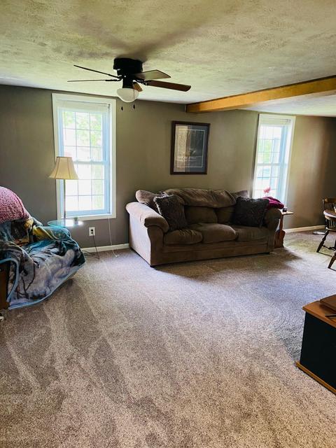 441 Birch St, Belding, MI 48809 photo 14