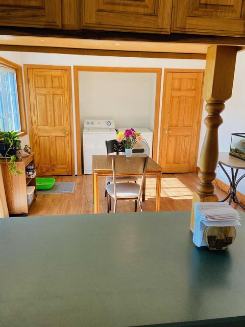 441 Birch St, Belding, MI 48809 photo 6