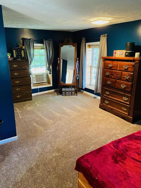 441 Birch St, Belding, MI 48809 photo 18