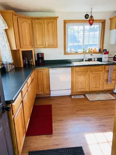 441 Birch St, Belding, MI 48809 photo 4