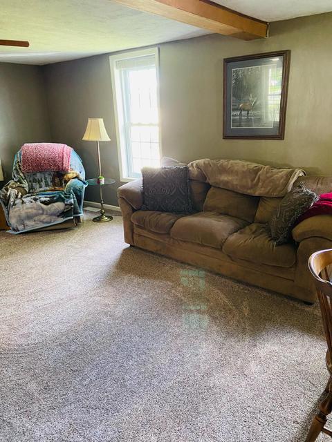 441 Birch St, Belding, MI 48809 photo 13