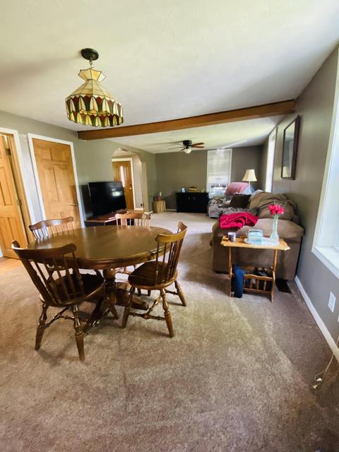 441 Birch St, Belding, MI 48809 photo 9