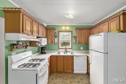 1116 W Ellis St, Belding, MI 48809 photo 3