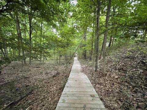 13239 Forest Ave, Harbert, MI 49115 photo 41