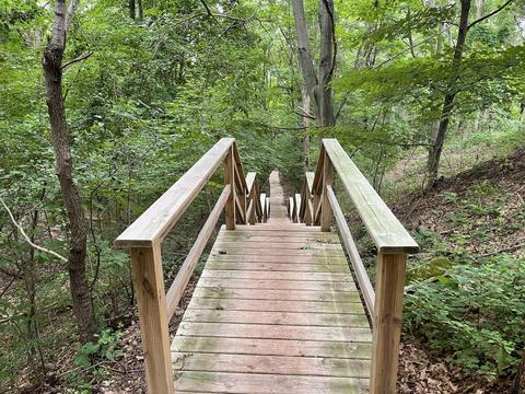13239 Forest Ave, Harbert, MI 49115 photo 40
