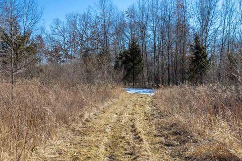 5925 Plum Orch, Munith, MI 49259 photo 25