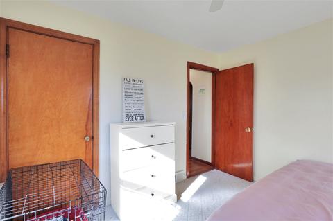 10381 Mccreery Rd, Munith, MI 49259 photo 8