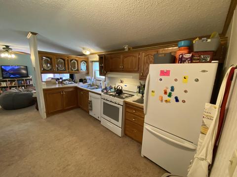 7466 Frank Rd, Reading, MI 49274 photo 4