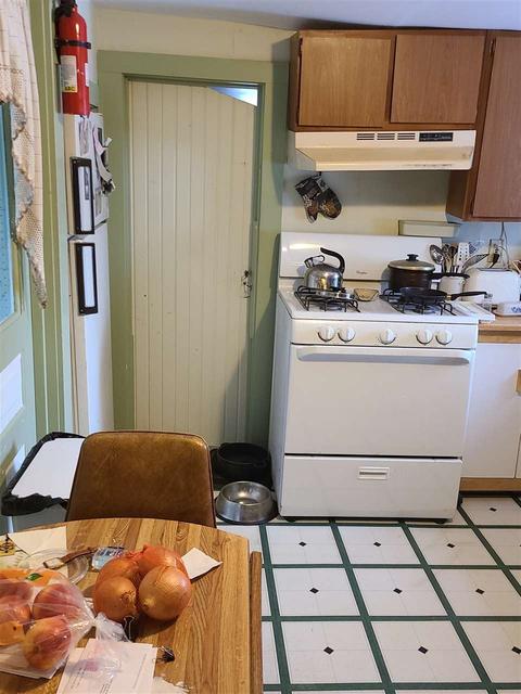 153 Chandler, Adrian, MI 49221 photo 4