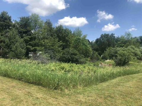 10280 Greenlawn E, Jerome, MI 49249 photo 1