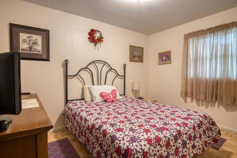 2331 Lakeside Dr, Stanton, MI 48888 photo 27
