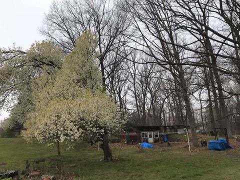 511 Watts Rd, Jackson, MI 49203 photo 1