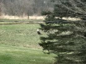 8972 College Ave, Jackson, MI 49201 photo 33